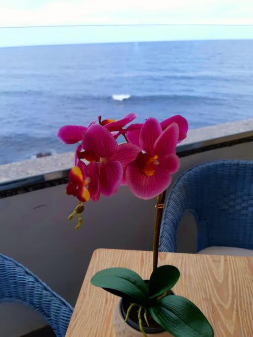 Ocean Orchidea Leilighet Puerto de la Cruz  Eksteriør bilde